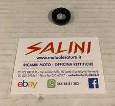 Paraolio  12 x 22 x 5 mm