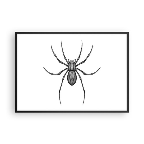 Poster 100x70cm ragno insetto - poster,