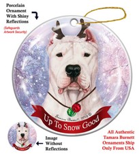 Up to Snow Good Ornament -