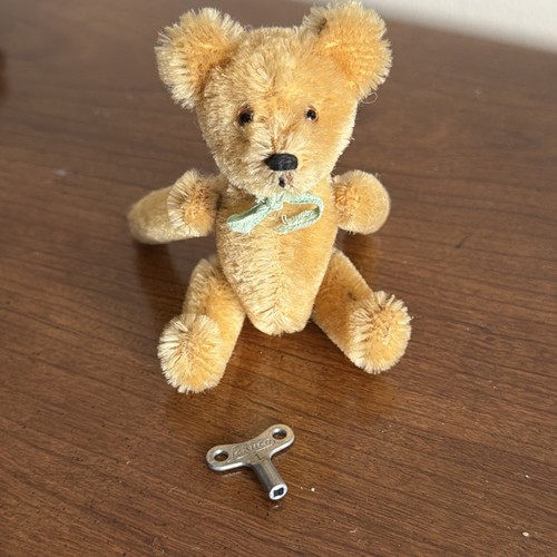 Raro orso carica - raro, a