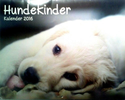 Calendario per bambini - , cani