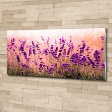 Quadro immagine arte parete - immagine,