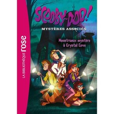 Livre scooby doo mystere associes