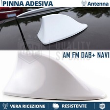 Antenna pinna squalo - squalo, bianca