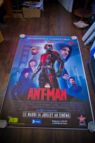 Ant man rifugio francese - d,