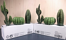 2 set piante di cactus