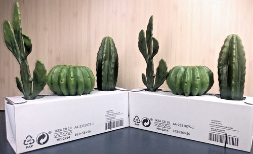 Set piante cactus - 2,