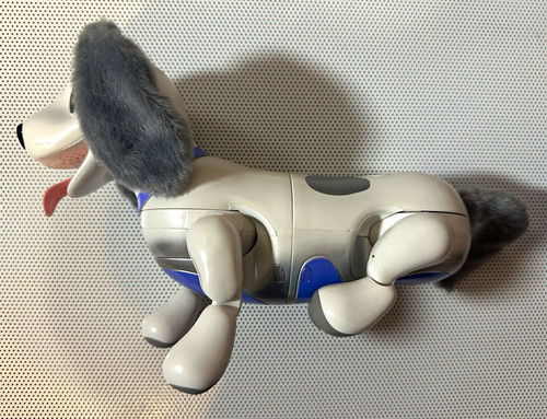 Zoomer cucciolo giocoso