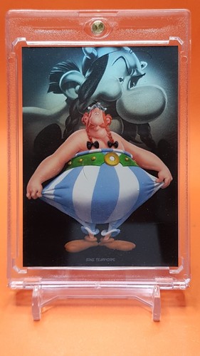 Asterix sine tempore panini - asterix,