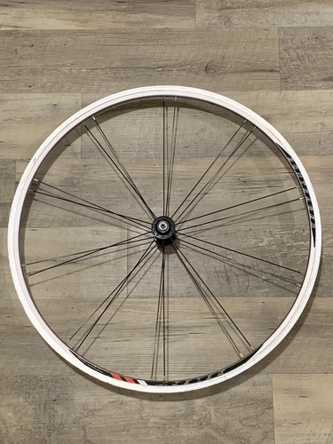 Bontrager ruota anteriore per - ruota,