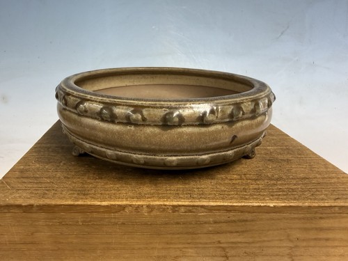Splendido vaso per bonsai
