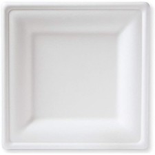 100 Piatti piani quadrati in