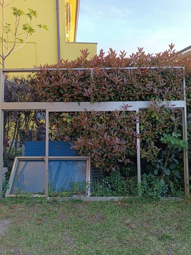 Veranda alluminio con - veranda,
