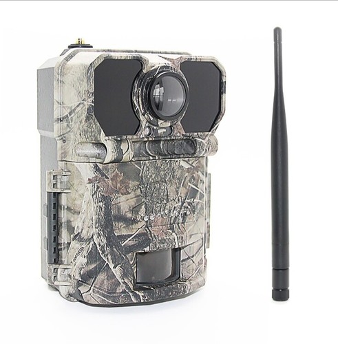 Nuova fotocamera selvatica - fotocamera,