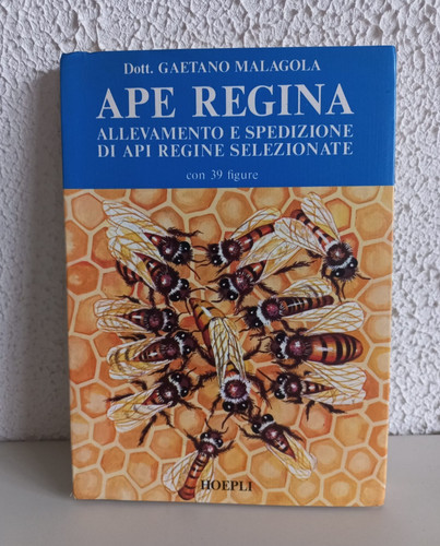 Ape regina dott gaetano - regina,