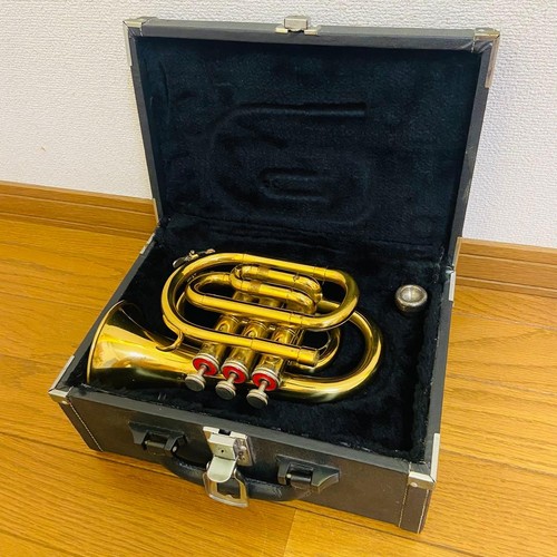 Tromba tascabile michael j - tromba,