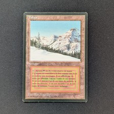 MTG \\>> Taiga (GD) <<//