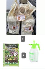 2 ballette Substrato