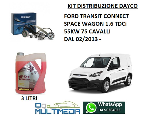 Kit distribuzione pompa - kit,