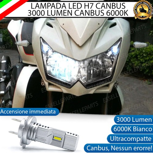 Lampada led canbus - lampada,