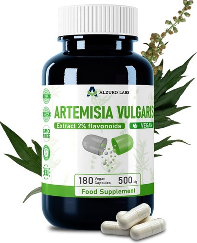 Artemisia vulgaris 1 - vulgaris, 10:1