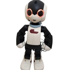 Robot DeAGOSTINI Robi modello