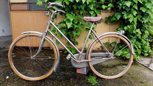 Introvabile bicicletta - introvabile,