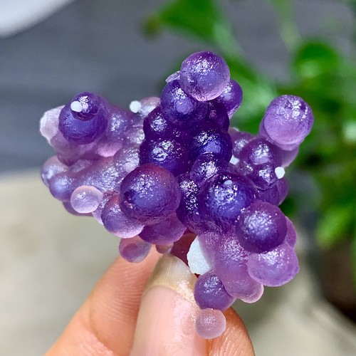 12g agata uva viola naturale - viola,
