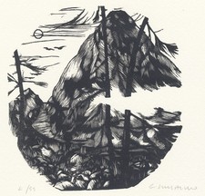 Schialvino gianfranco - schialvino,