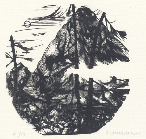 Schialvino gianfranco - schialvino,
