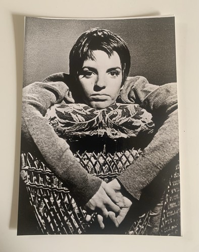 Liza minnelli photo - liza,