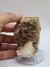 Minerali◇Fluorite Prov