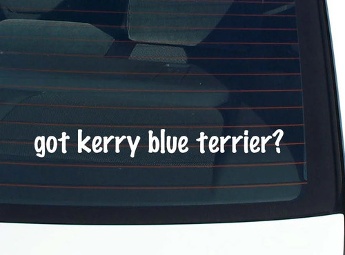 Got kerry blue - kerry,