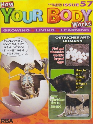 How your body - , works-issue