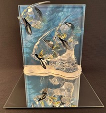 Raro, Ritirato, Cristallo