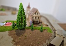 20 Mittelgrüne Abeti, Abeti, Conifere , Je 10 Pezzo 48 E 130 MM Alto