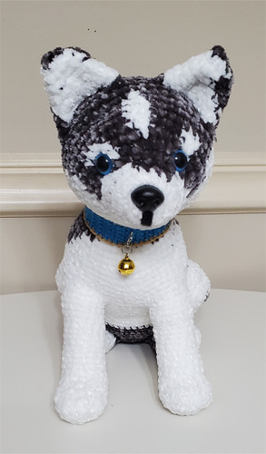 Siberian husky cucciolo - husky,
