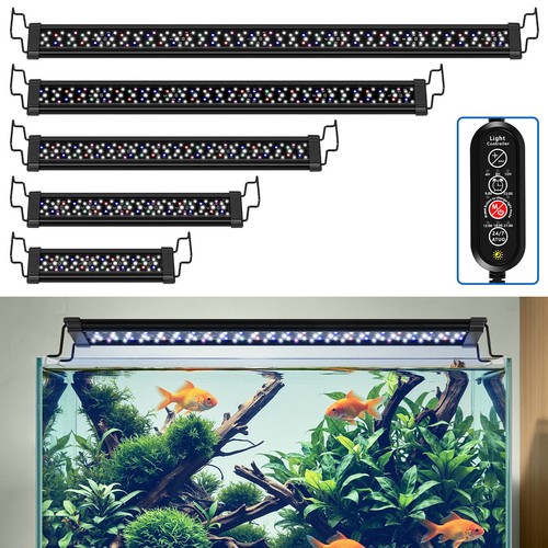 Illuminazione led acquario - illuminazione,