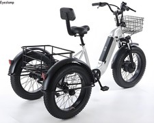 20-Zoll-Elektrodreirad, 500 W