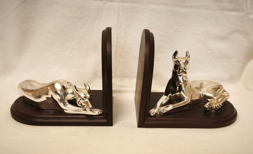 Coppia ferma libri cane - coppia,