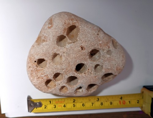 Pietra marina con fori