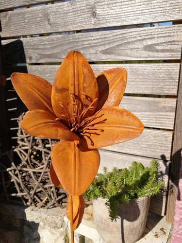 Fiore effetto ruggine giglio