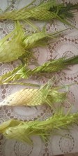 Palme vere intrecciate (