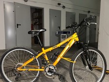 bicicletta ragazzo