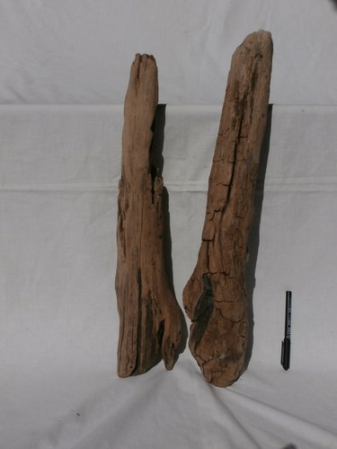 Legno mare grande largo - legno,