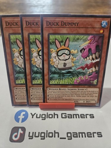 Duck dummy x3 - dummy,