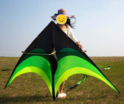 Giant kite piedi alta - kite,