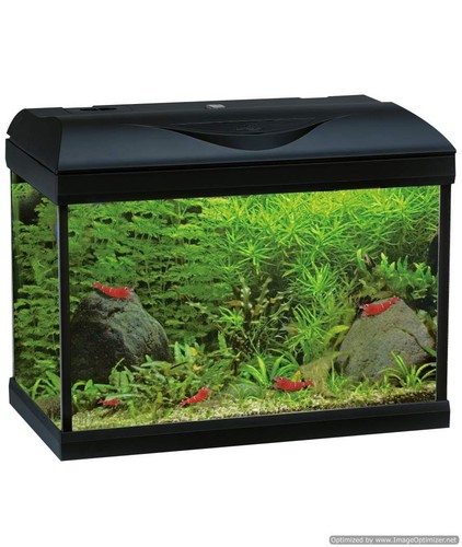 Amtra basic led black - led, 40