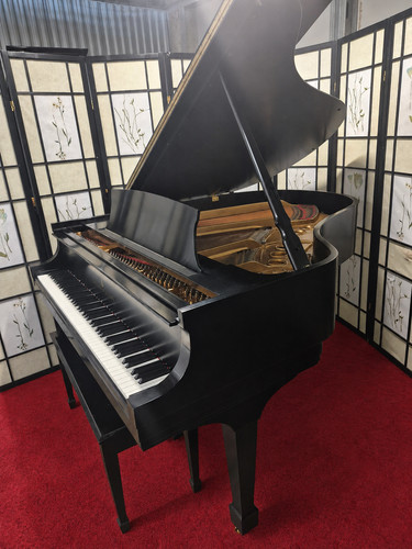 Steinway grand piano 7 - steinway,