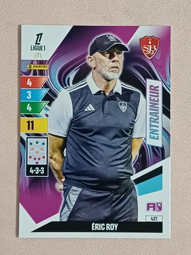 Panini adrenalyn ligue1 - panini, xl